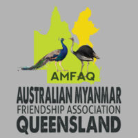 AMFAQ Men's AS Colour Staple Regular Fit T Shirt  Design