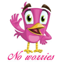 No Worries Bird Women's Mali Boutique Capped Sleeve Design