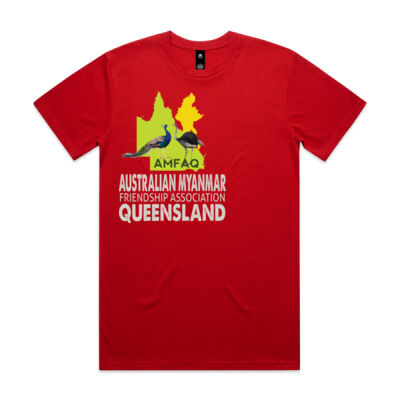 AMFAQ Men's AS Colour Staple Regular Fit T Shirt  Thumbnail