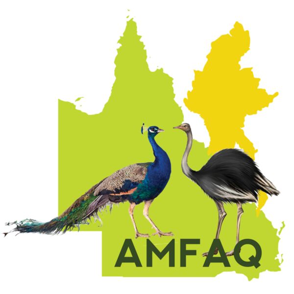 AMFAQ Logo Thumbnail